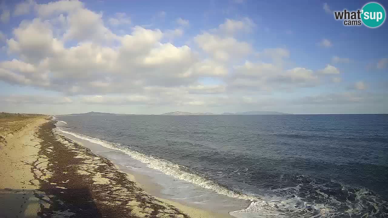 Beach Le Saline webcam live Stintino – Sardinia