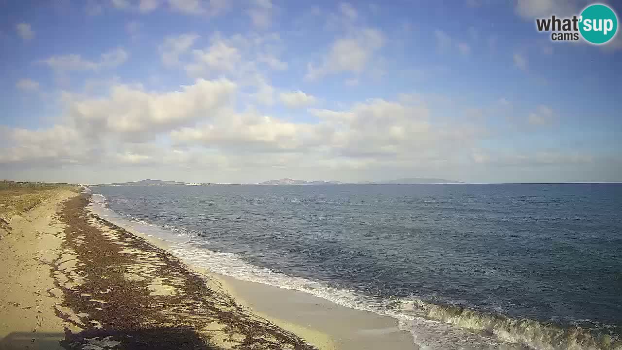 Beach Le Saline webcam live Stintino – Sardinia