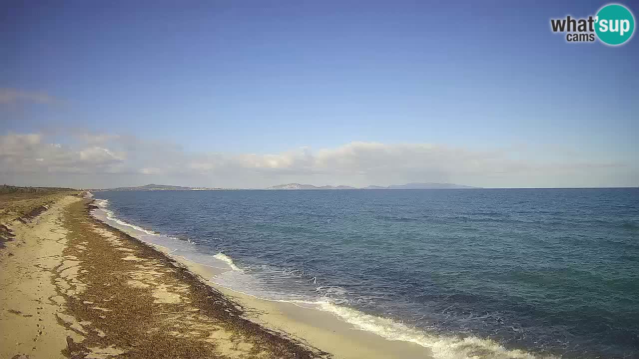 Beach Le Saline webcam live Stintino – Sardinia