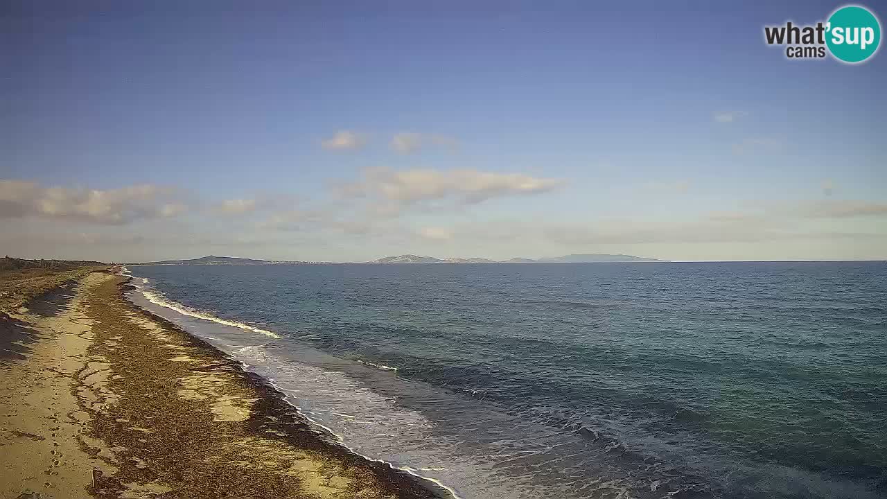 Beach Le Saline webcam live Stintino – Sardinia