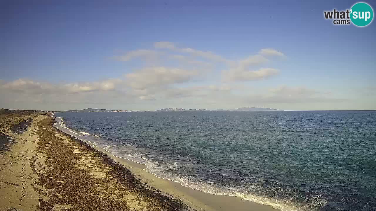 Beach Le Saline webcam live Stintino – Sardinia