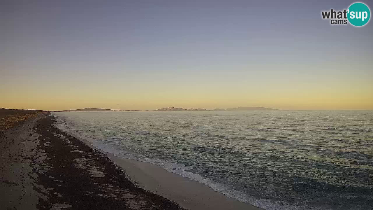 Beach Le Saline webcam live Stintino – Sardinia