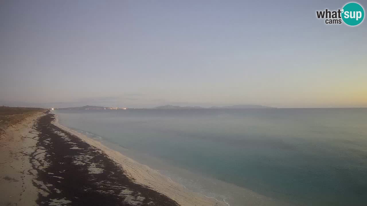 Beach Le Saline webcam live Stintino – Sardinia