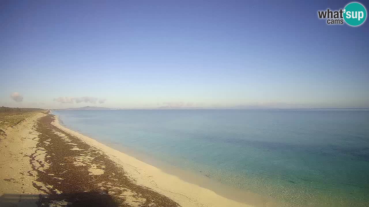 Plaža Le Saline spletna kamera Stintino – Sardinija