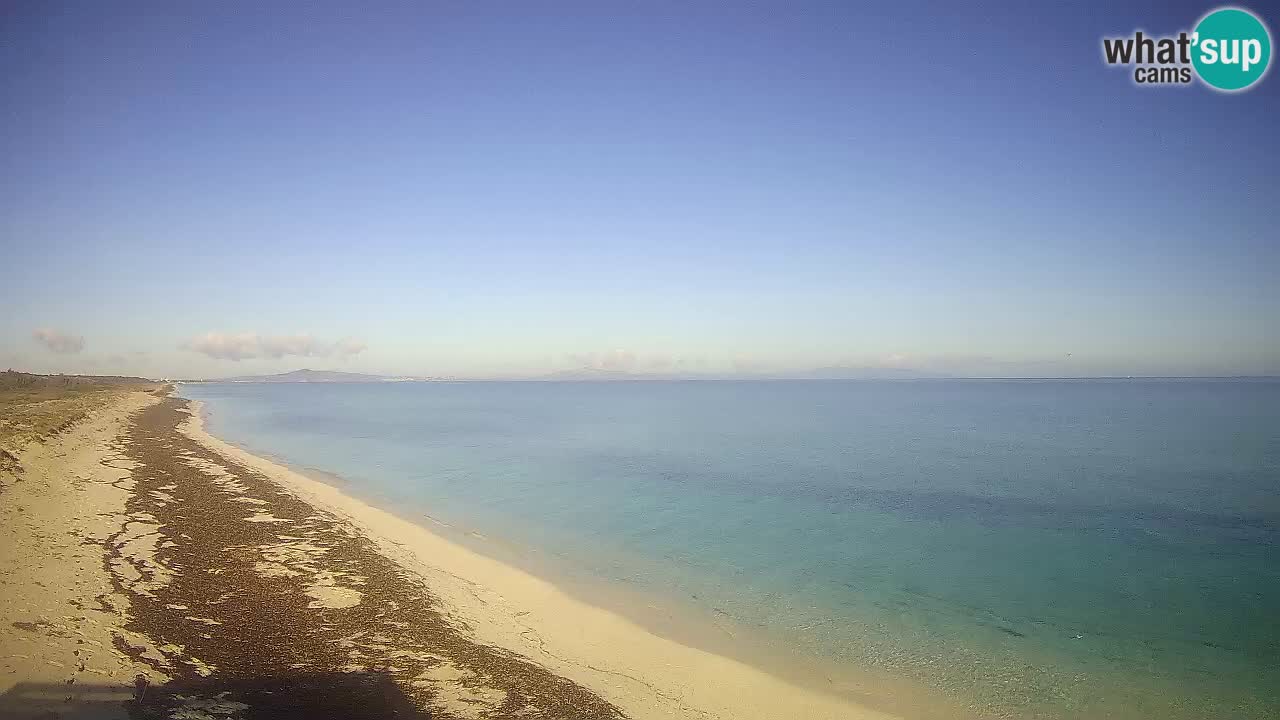 Plage Le Saline Live cam Stintino – Sardaigne