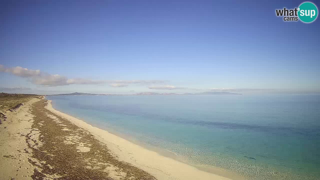 Playa Le Saline camera en vivo Stintino – Cerdeña