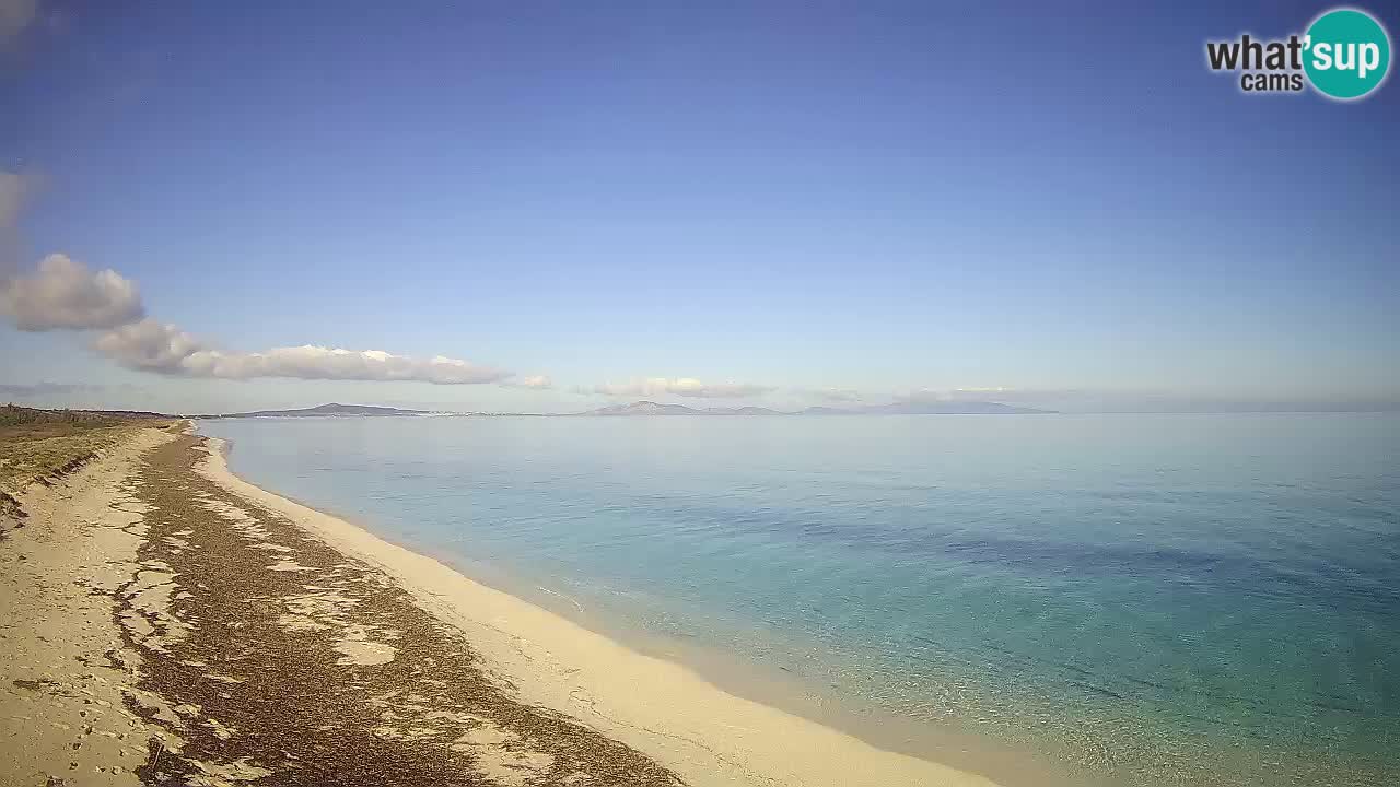 Beach Le Saline webcam live Stintino – Sardinia