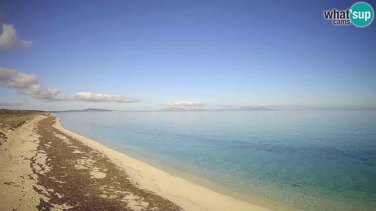 Plaža Le Saline spletna kamera Stintino – Sardinija