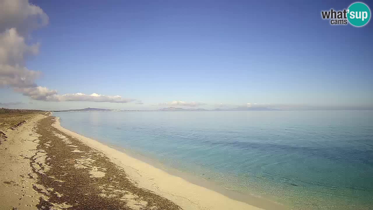 Plaža Le Saline spletna kamera Stintino – Sardinija