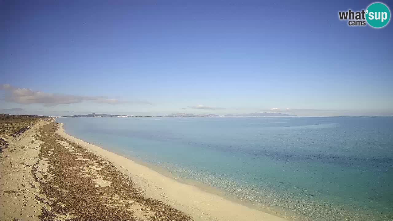 Strand Le Saline webcam Stintino – Sardinien