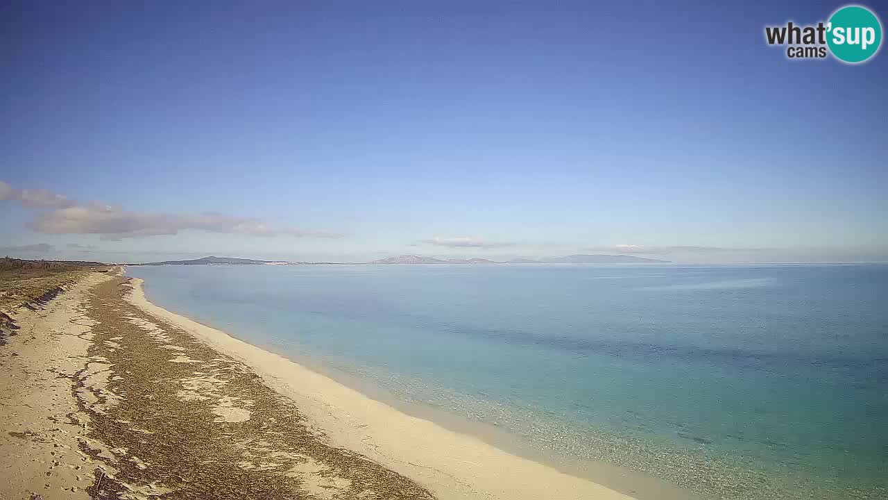 Beach Le Saline webcam live Stintino – Sardinia