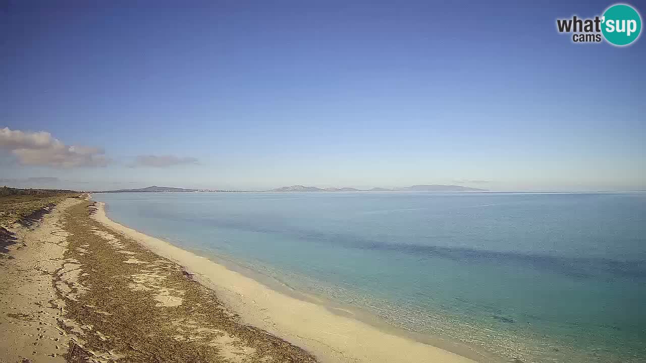 Spiaggia Le Saline webcam Stintino – Sardegna