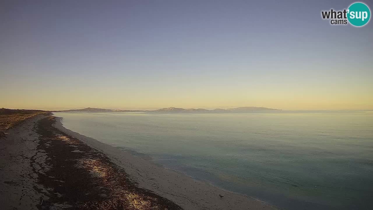 Plaža Le Saline spletna kamera Stintino – Sardinija