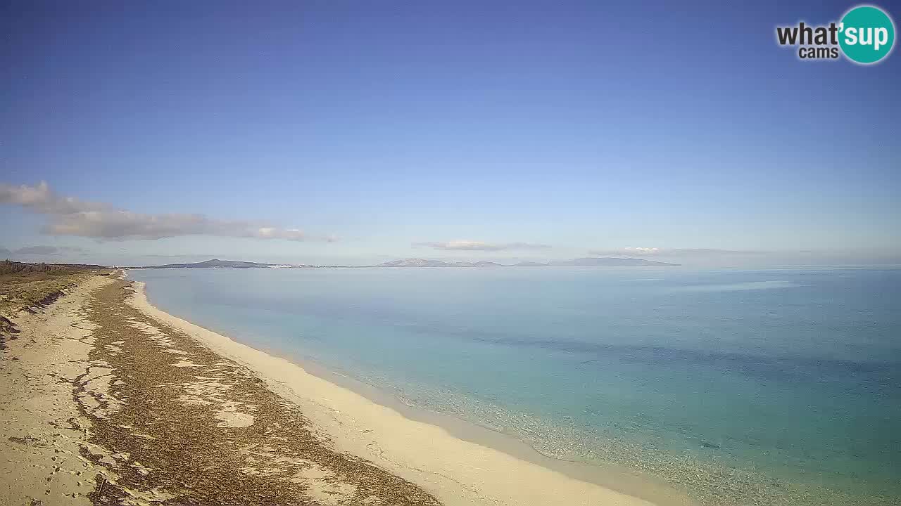 Beach Le Saline webcam live Stintino – Sardinia