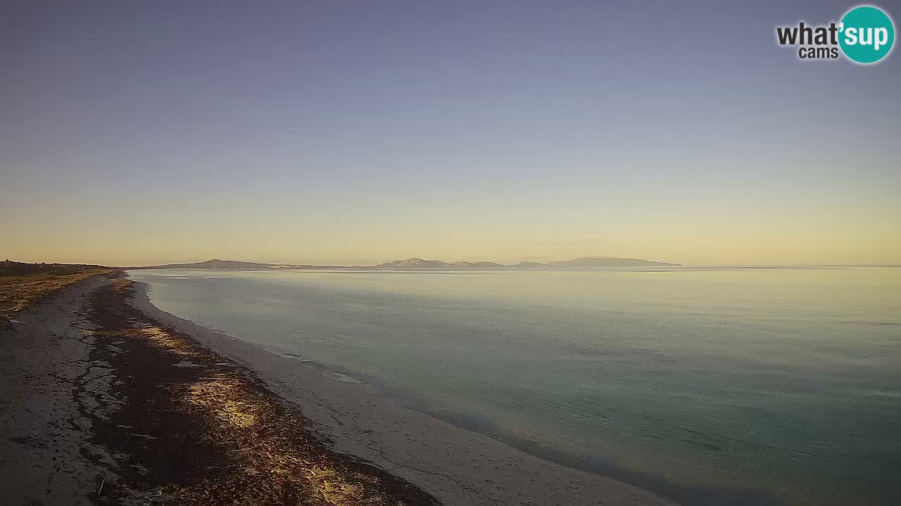 Beach Le Saline webcam live Stintino – Sardinia