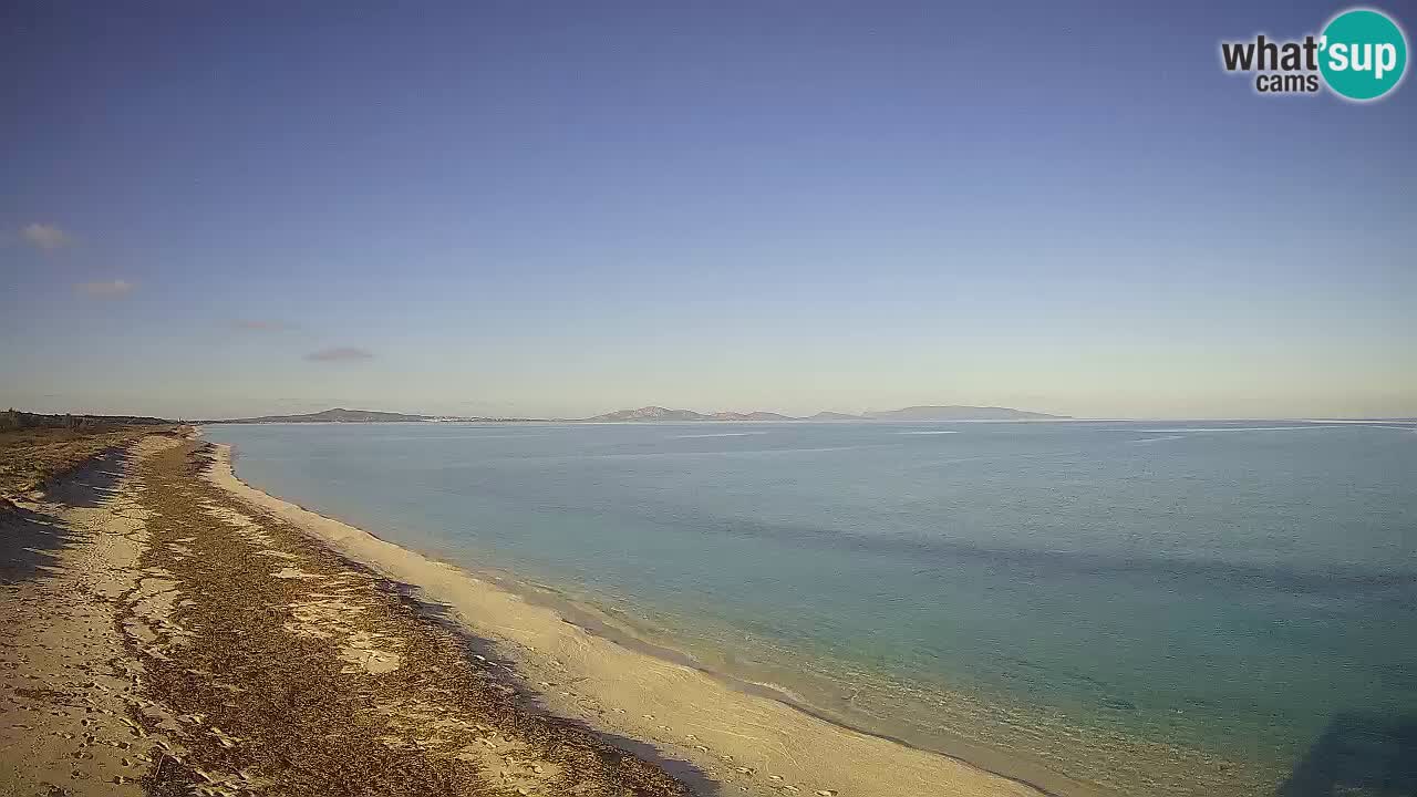 Beach Le Saline webcam live Stintino – Sardinia