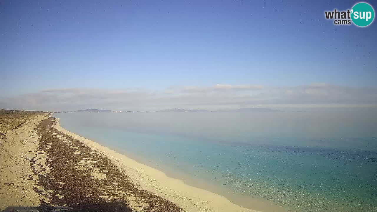 Spiaggia Le Saline webcam Stintino – Sardegna