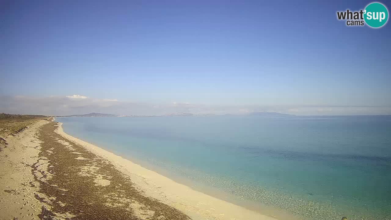 Beach Le Saline webcam live Stintino – Sardinia