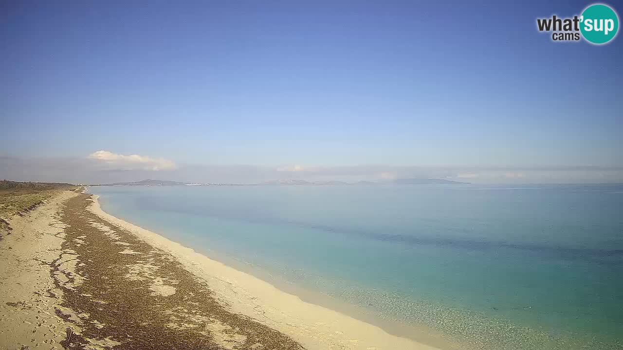 Plaža Le Saline spletna kamera Stintino – Sardinija