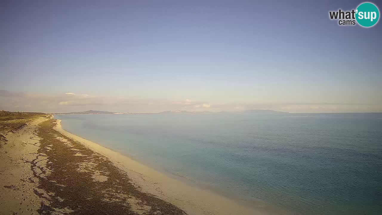 Plage Le Saline Live cam Stintino – Sardaigne