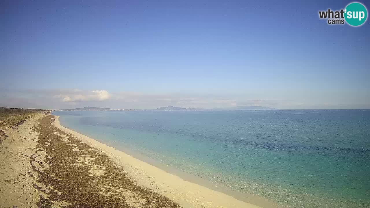 Playa Le Saline camera en vivo Stintino – Cerdeña