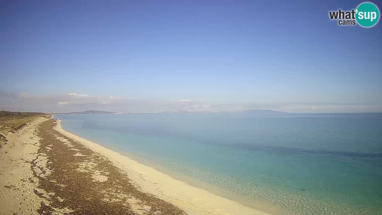 Plage Le Saline Live cam Stintino – Sardaigne