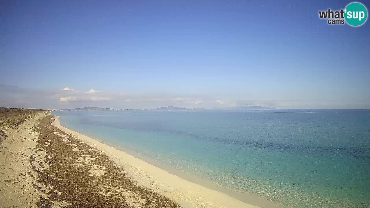 Plaža Le Saline spletna kamera Stintino – Sardinija