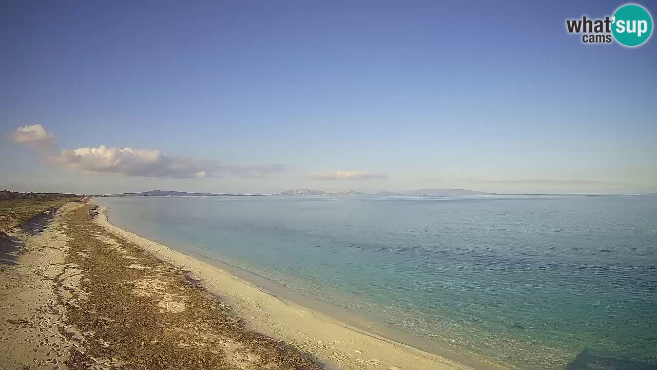 Plage Le Saline Live cam Stintino – Sardaigne