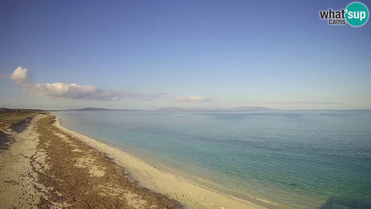 Plage Le Saline Live cam Stintino – Sardaigne