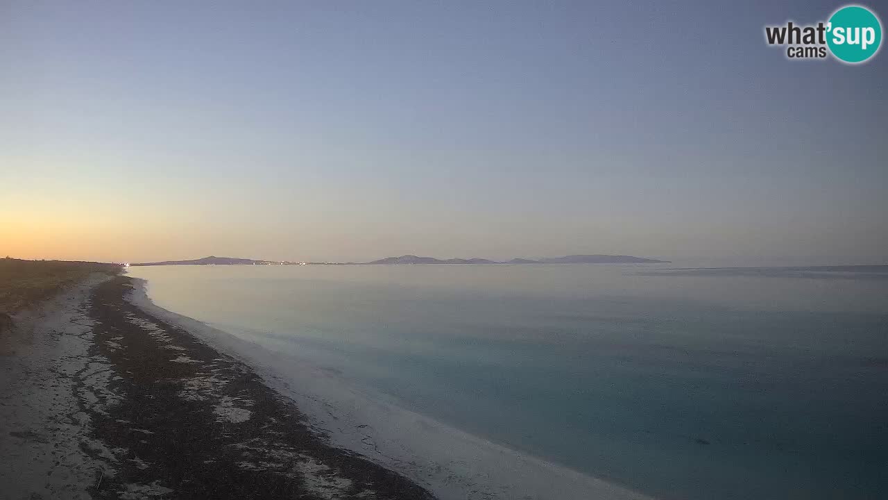 Playa Le Saline camera en vivo Stintino – Cerdeña