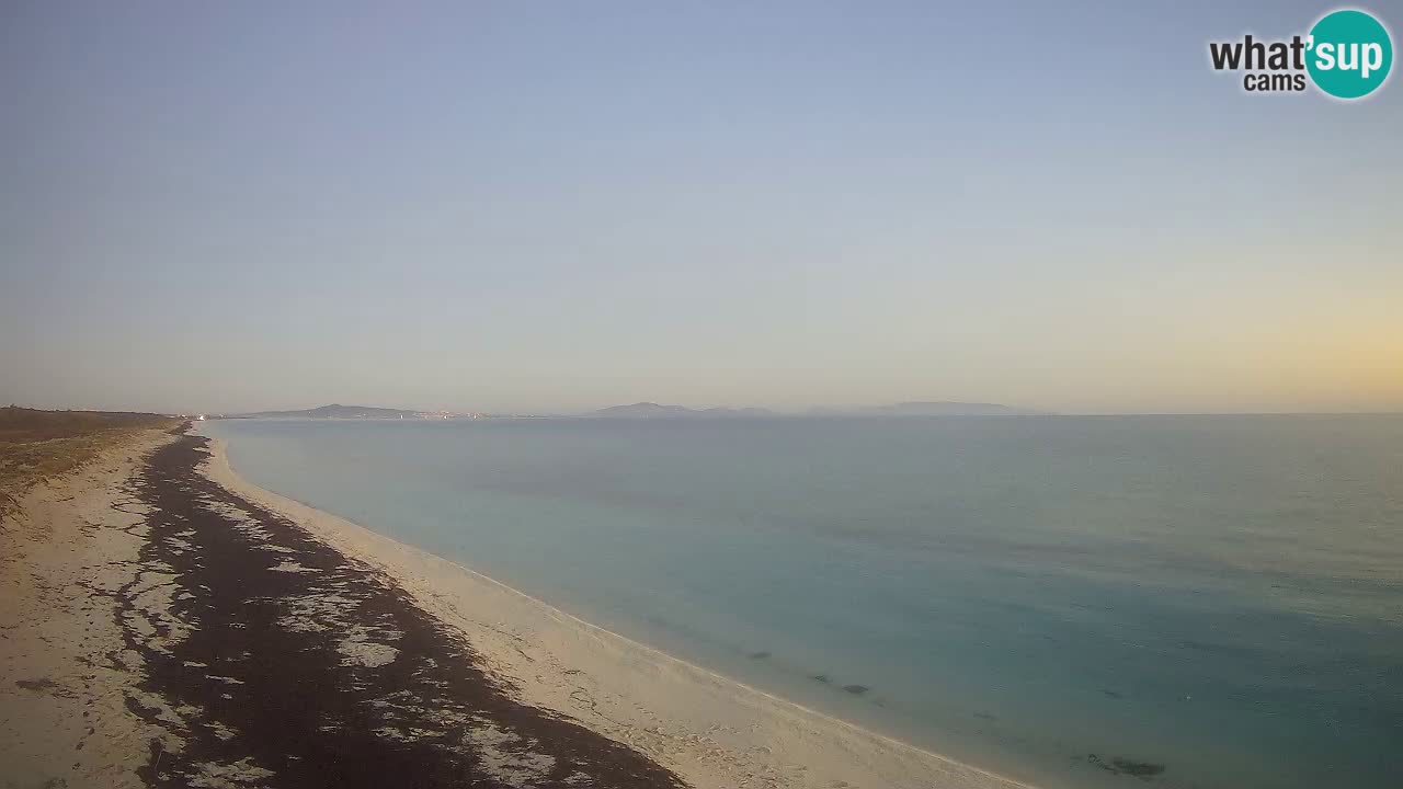 Plage Le Saline Live cam Stintino – Sardaigne