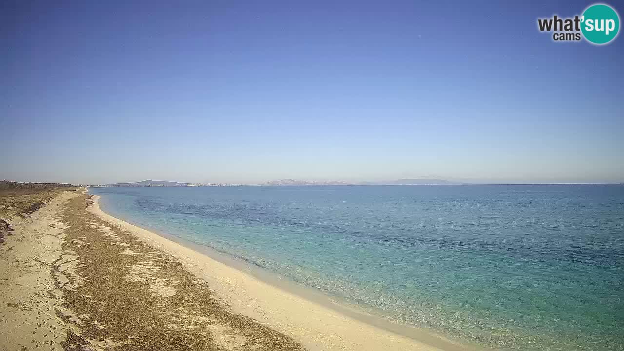 Beach Le Saline webcam live Stintino – Sardinia