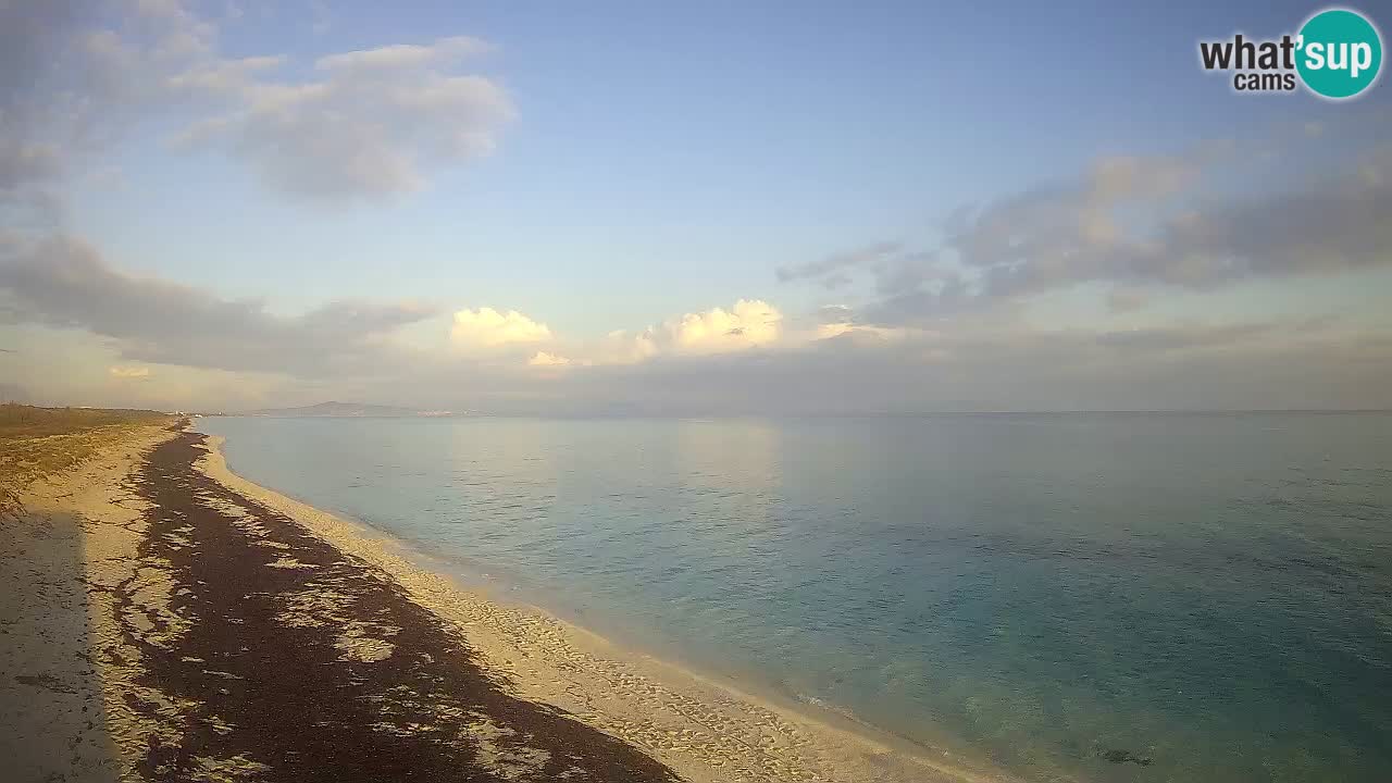 Plage Le Saline Live cam Stintino – Sardaigne