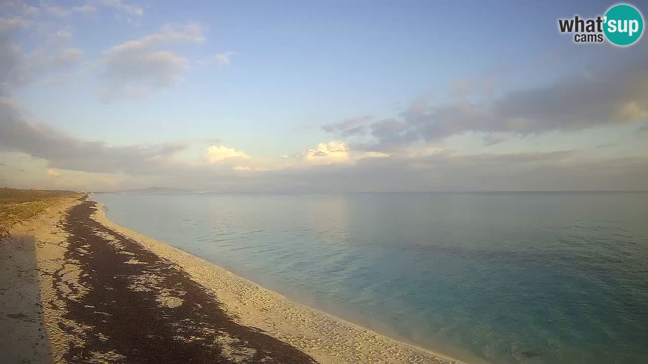 Spiaggia Le Saline webcam Stintino – Sardegna