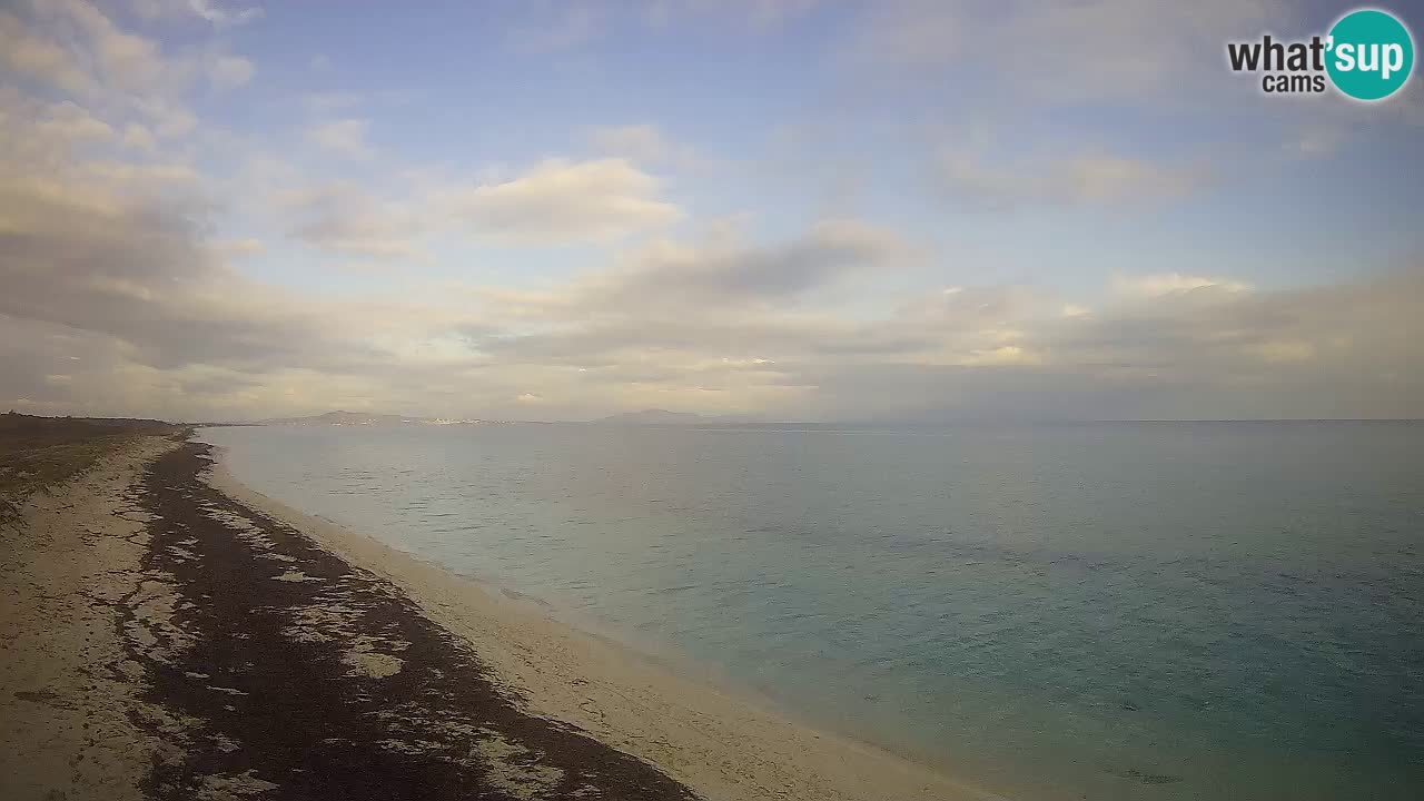 Plaža Le Saline spletna kamera Stintino – Sardinija