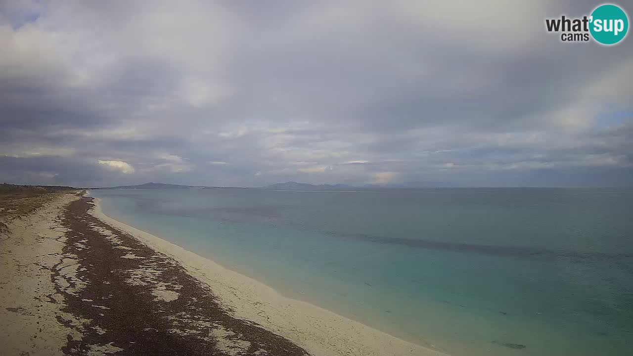 Playa Le Saline camera en vivo Stintino – Cerdeña