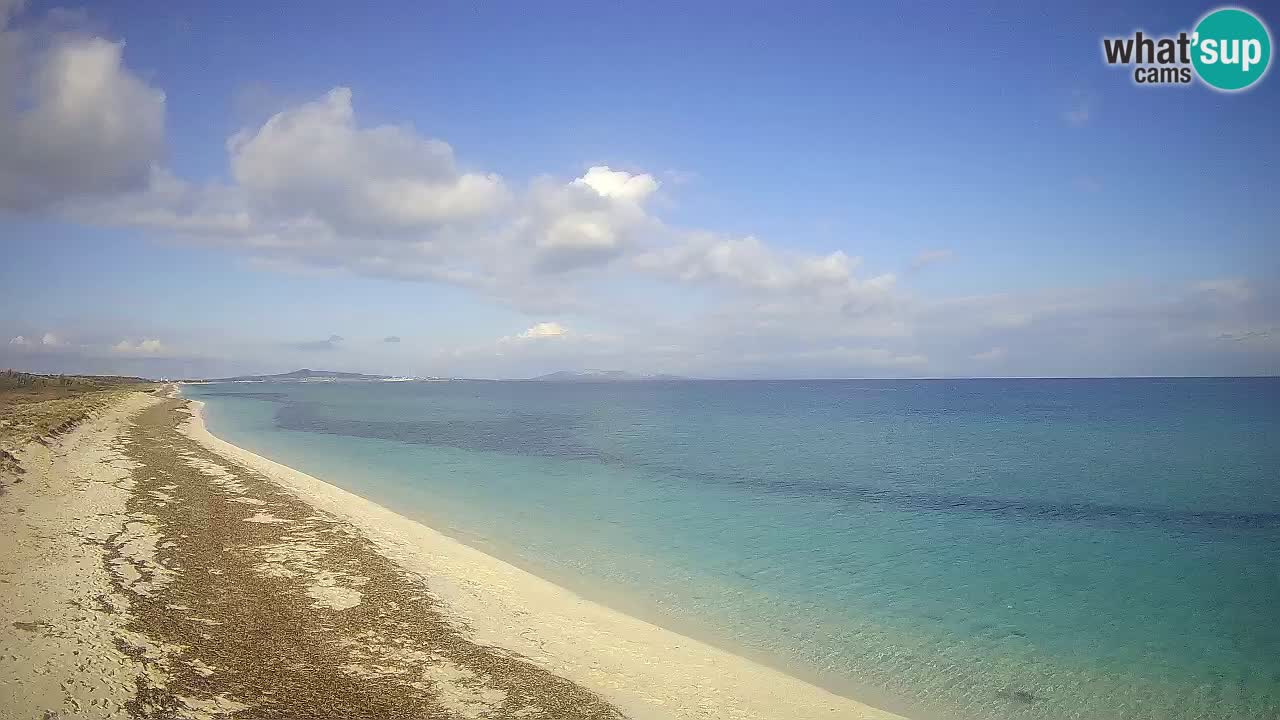 Plaža Le Saline spletna kamera Stintino – Sardinija