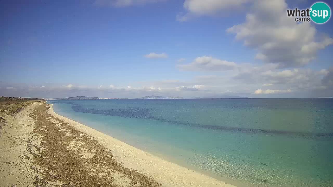 Spiaggia Le Saline webcam Stintino – Sardegna