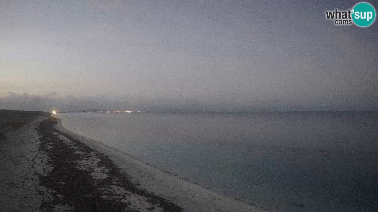 Playa Le Saline camera en vivo Stintino – Cerdeña