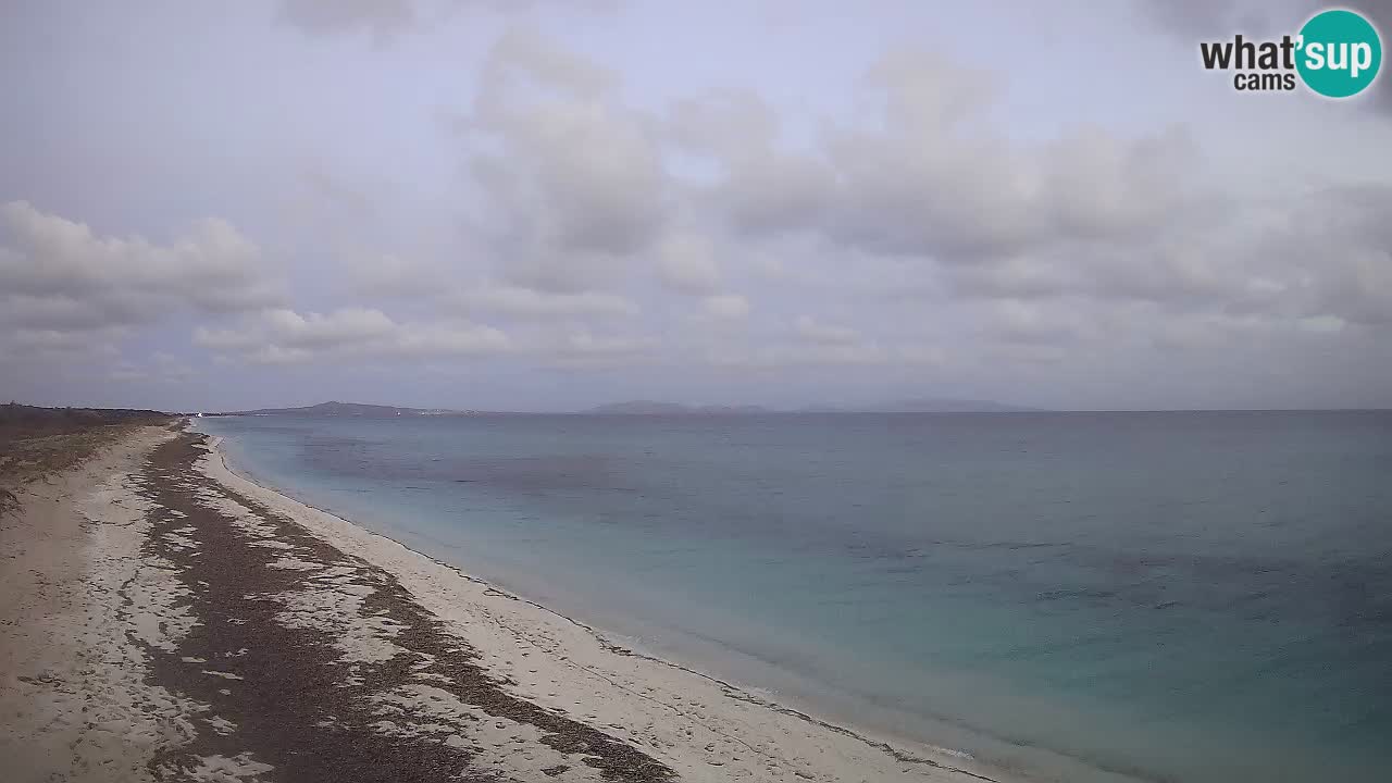 Beach Le Saline webcam live Stintino – Sardinia