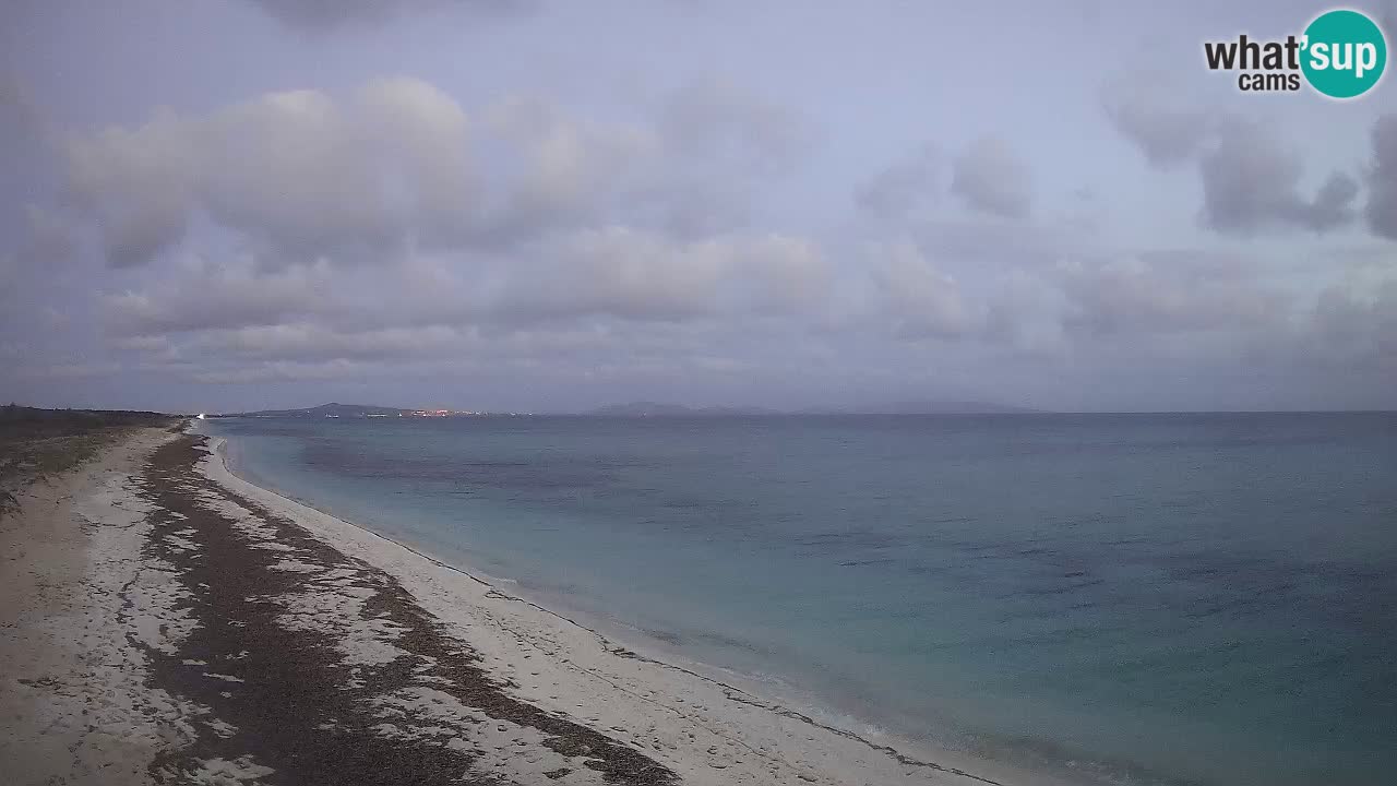 Plage Le Saline Live cam Stintino – Sardaigne