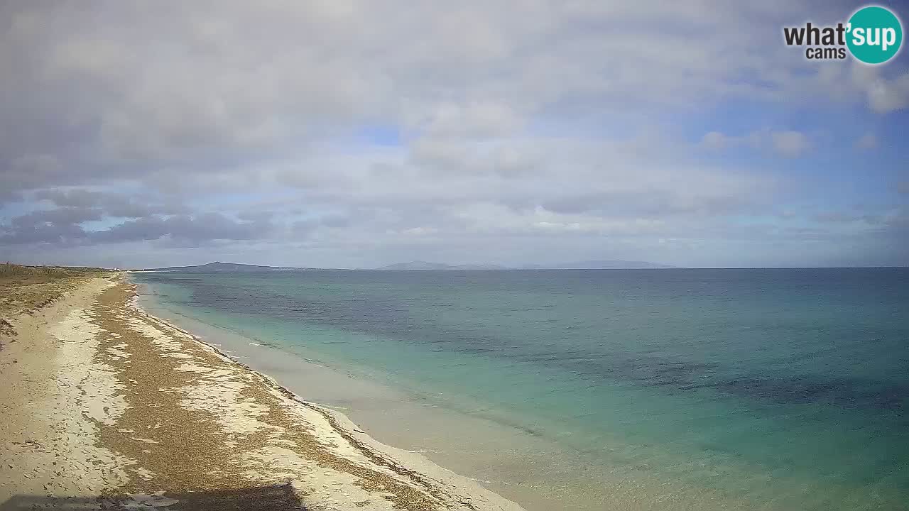 Beach Le Saline webcam live Stintino – Sardinia