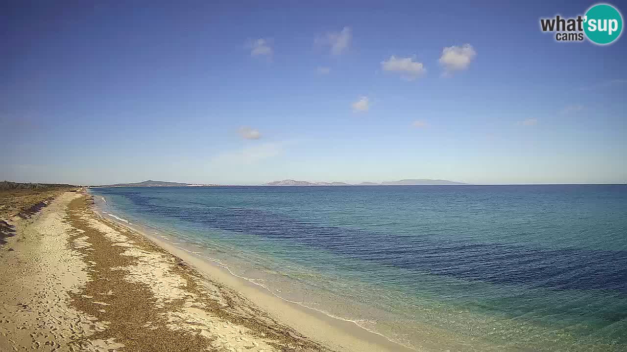 Plaža Le Saline spletna kamera Stintino – Sardinija