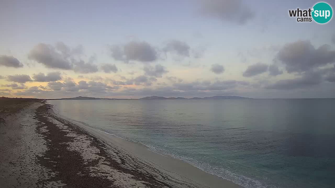 Beach Le Saline webcam live Stintino – Sardinia