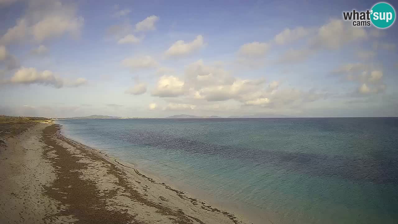 Playa Le Saline camera en vivo Stintino – Cerdeña