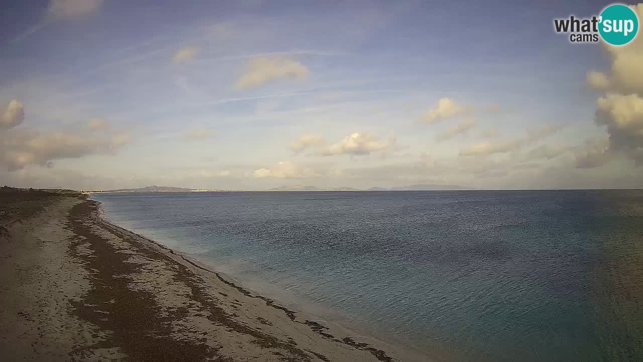 Spiaggia Le Saline webcam Stintino – Sardegna