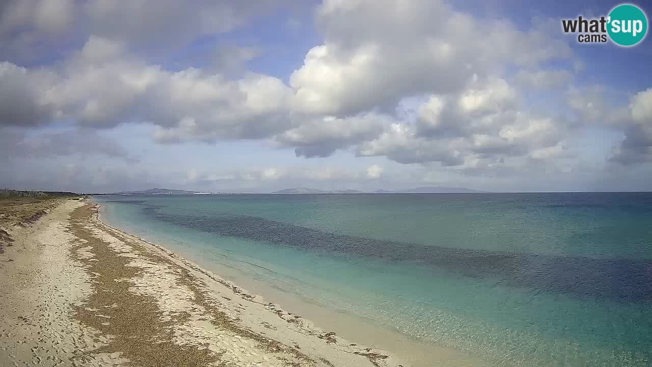 Plage Le Saline Live cam Stintino – Sardaigne