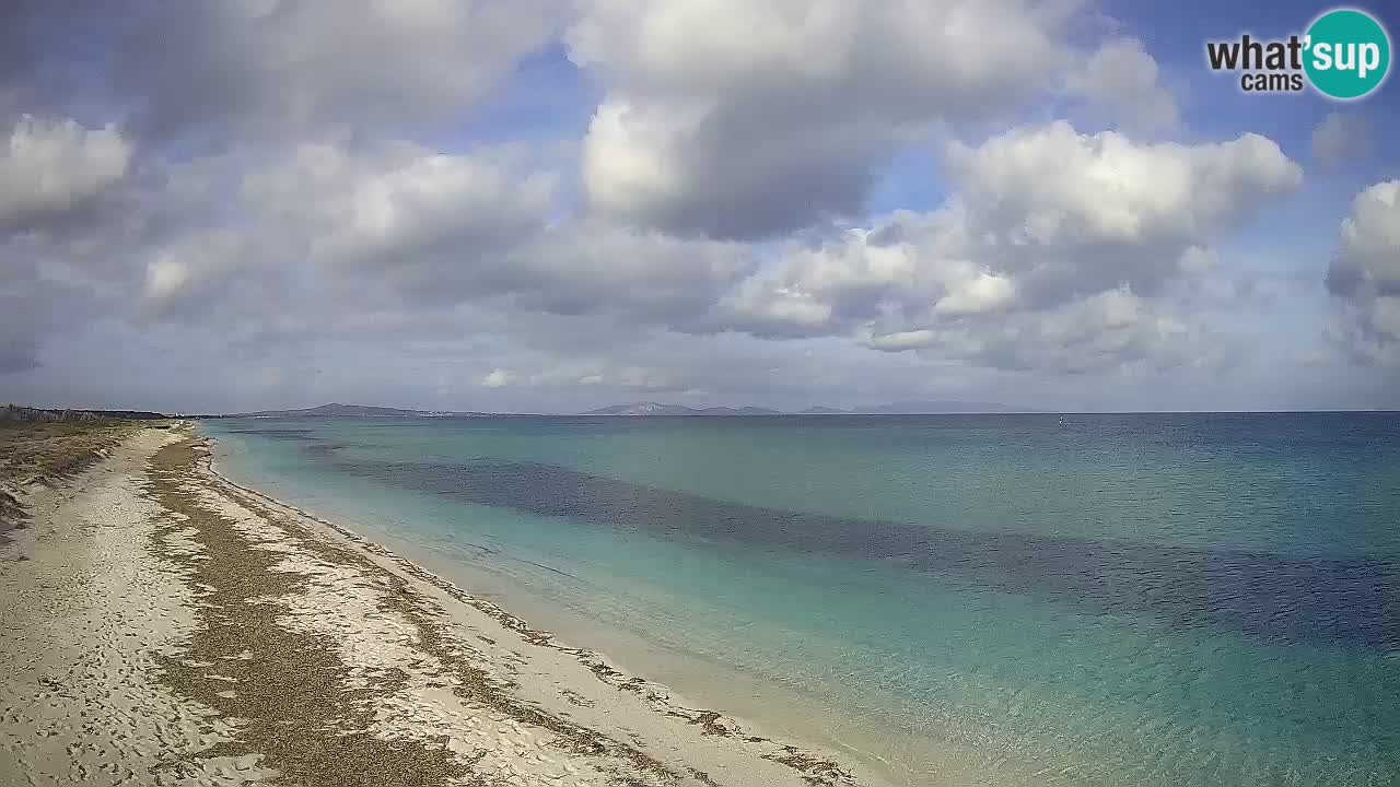 Beach Le Saline webcam live Stintino – Sardinia