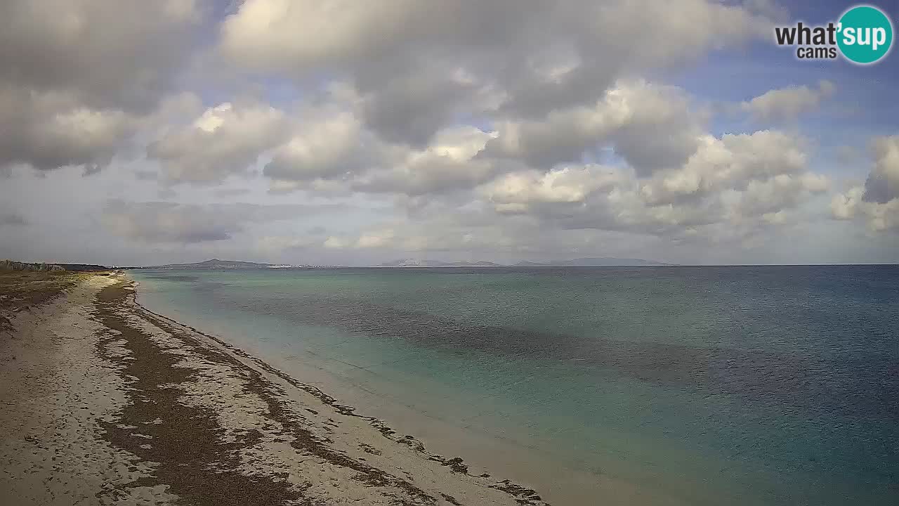 Plage Le Saline Live cam Stintino – Sardaigne