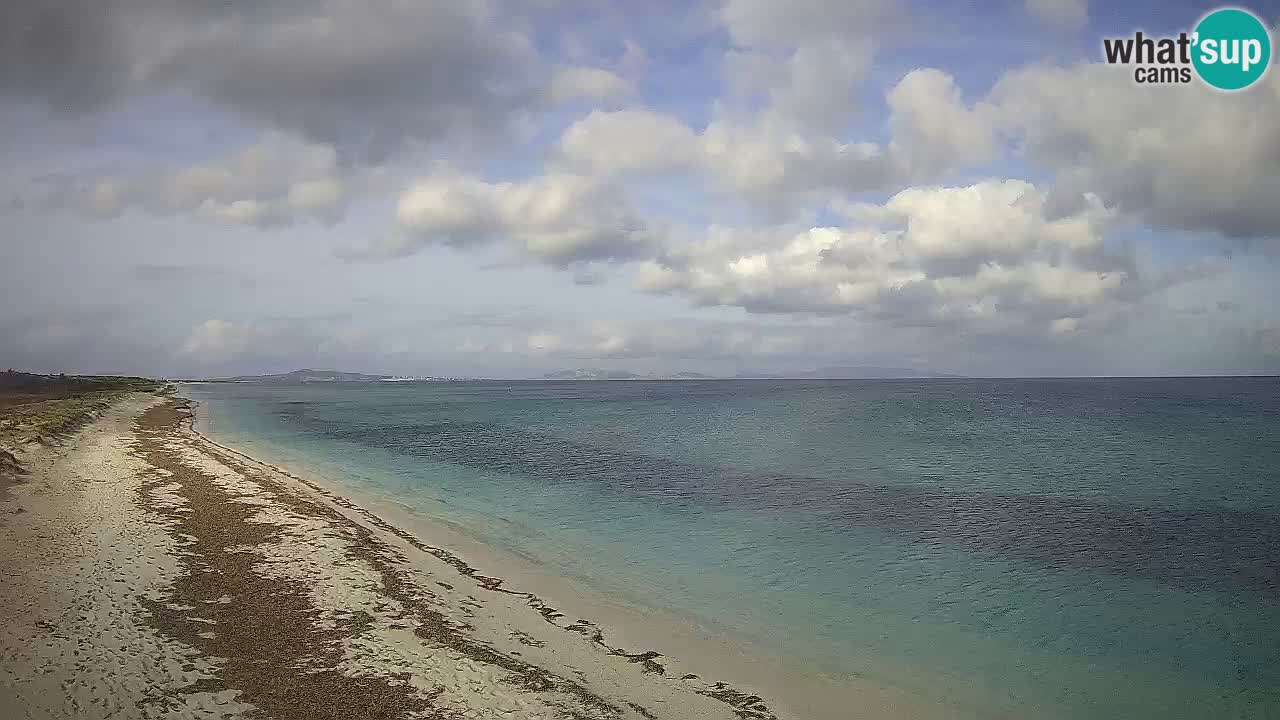 Spiaggia Le Saline webcam Stintino – Sardegna